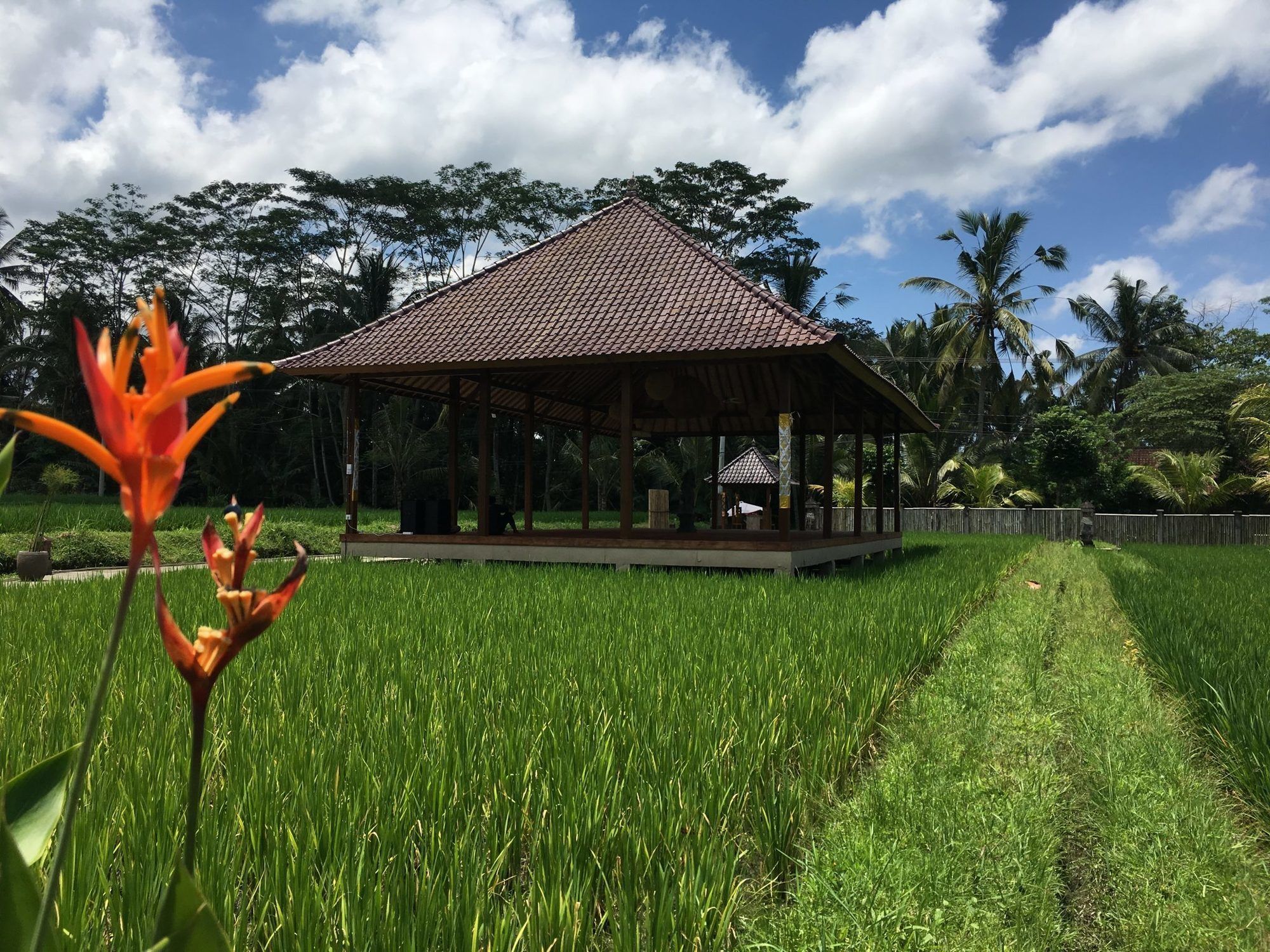 Santosha Villas & Spa Ubud Dış mekan fotoğraf